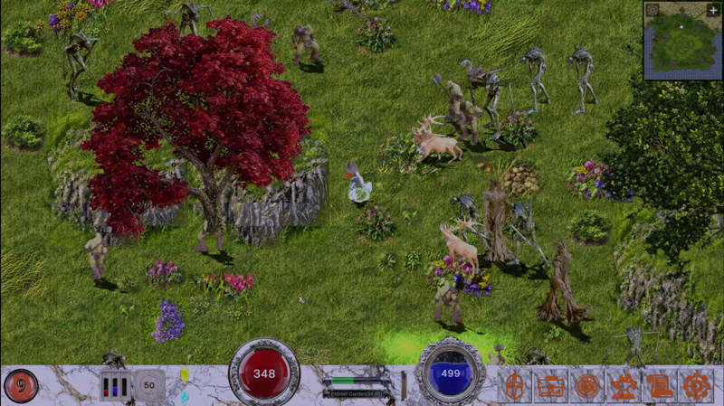 Garden paths and creatures at night