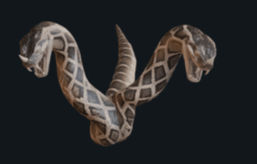 Amphis attack animation