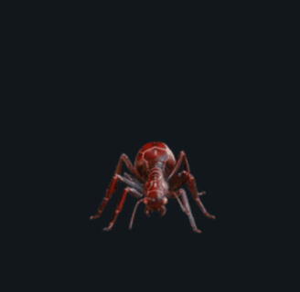 Giant-Ant attack animation