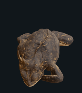Giant-Frog attack animation